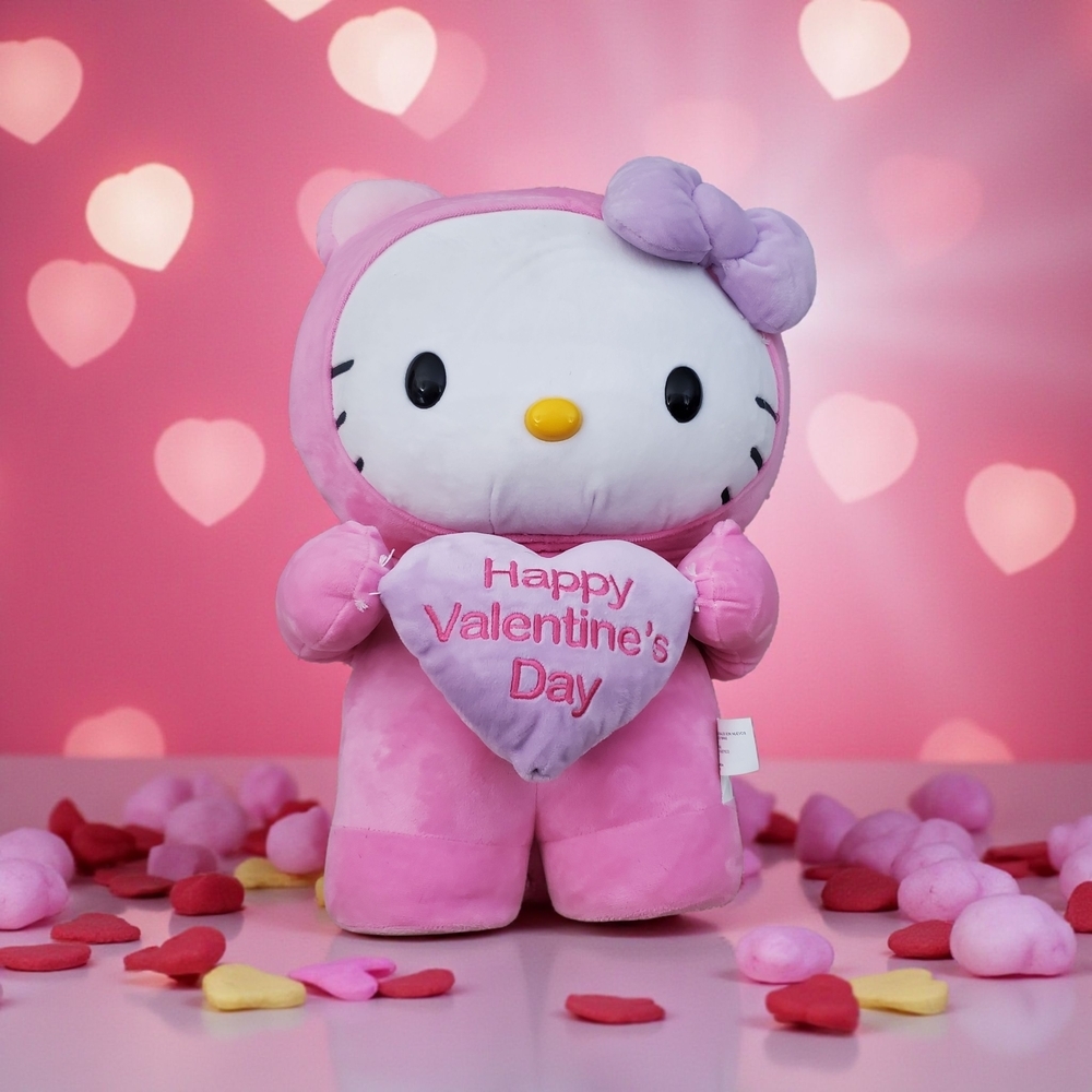 Hello Kitty Soft Pink Plush Happy Valentine's Day by Sanrio